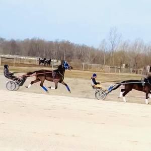 Meet your Posher, William